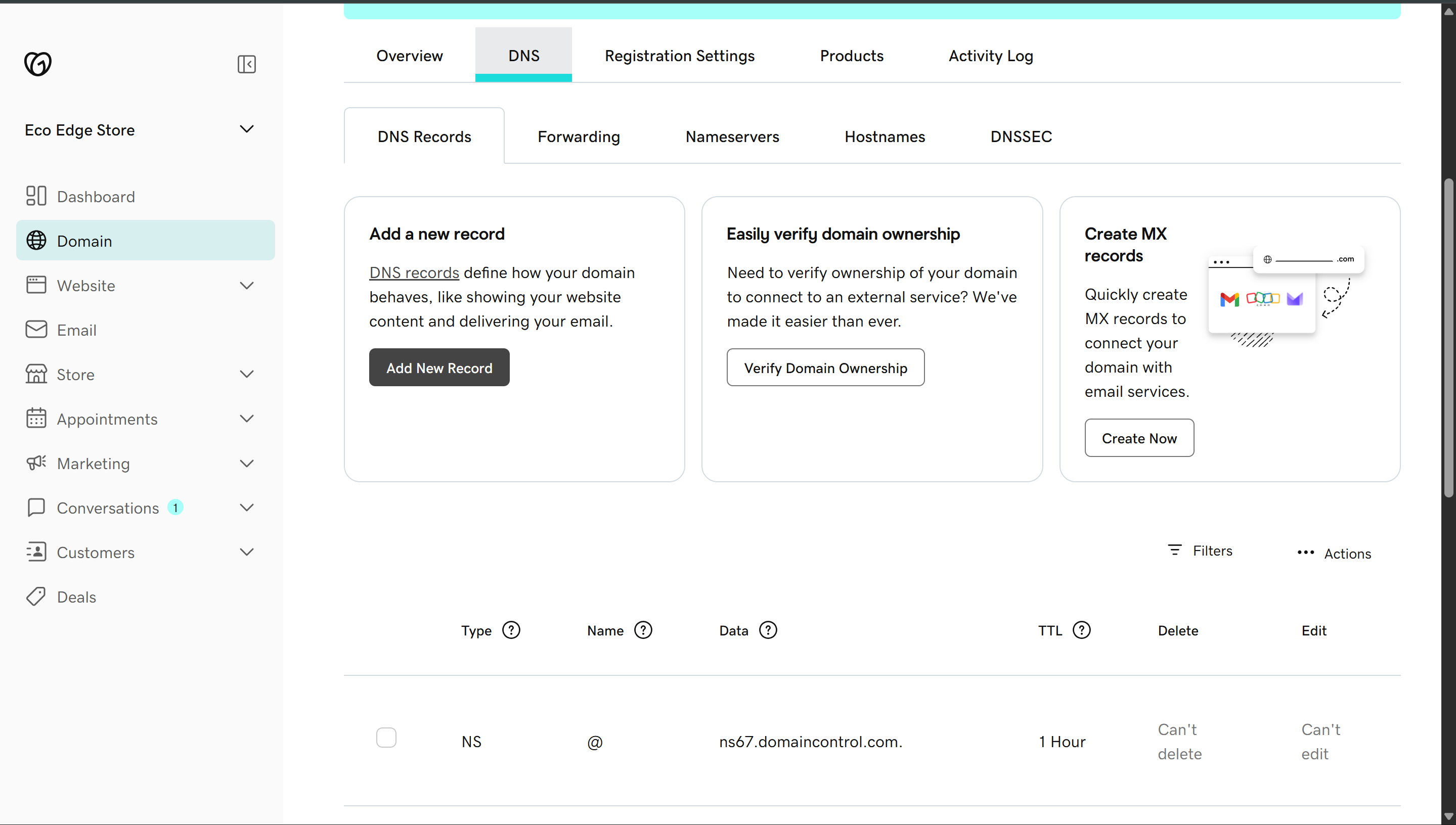 GoDaddy DNS — Add New Record screen